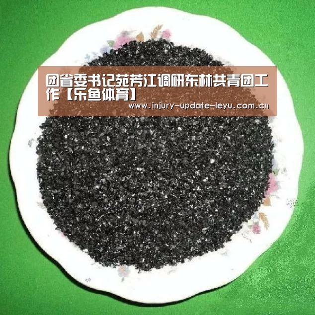 团省委书记苑芳江调研东林共青团工作【乐鱼体育】(图2) 乐鱼体育