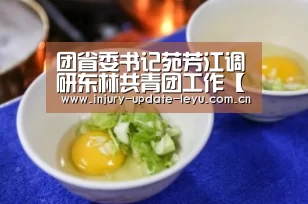 团省委书记苑芳江调研东林共青团工作【乐鱼体育】(图1) 乐鱼体育