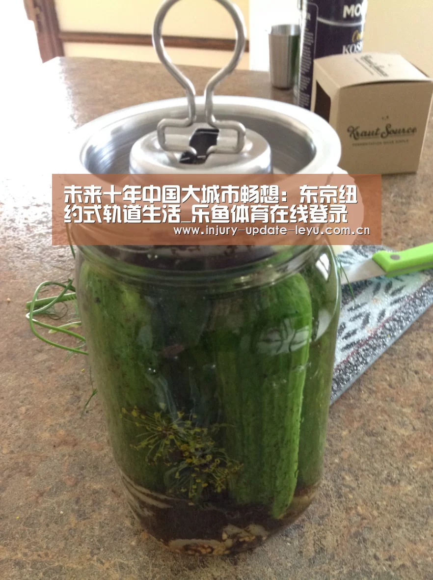 未来十年中国大城市畅想:东京纽约式轨道生活_乐鱼体育在线登录(图1) 乐鱼体育网站入口