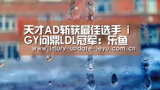 乐鱼体育网站入口