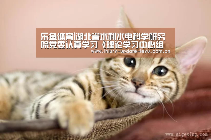 乐鱼体育在线登录