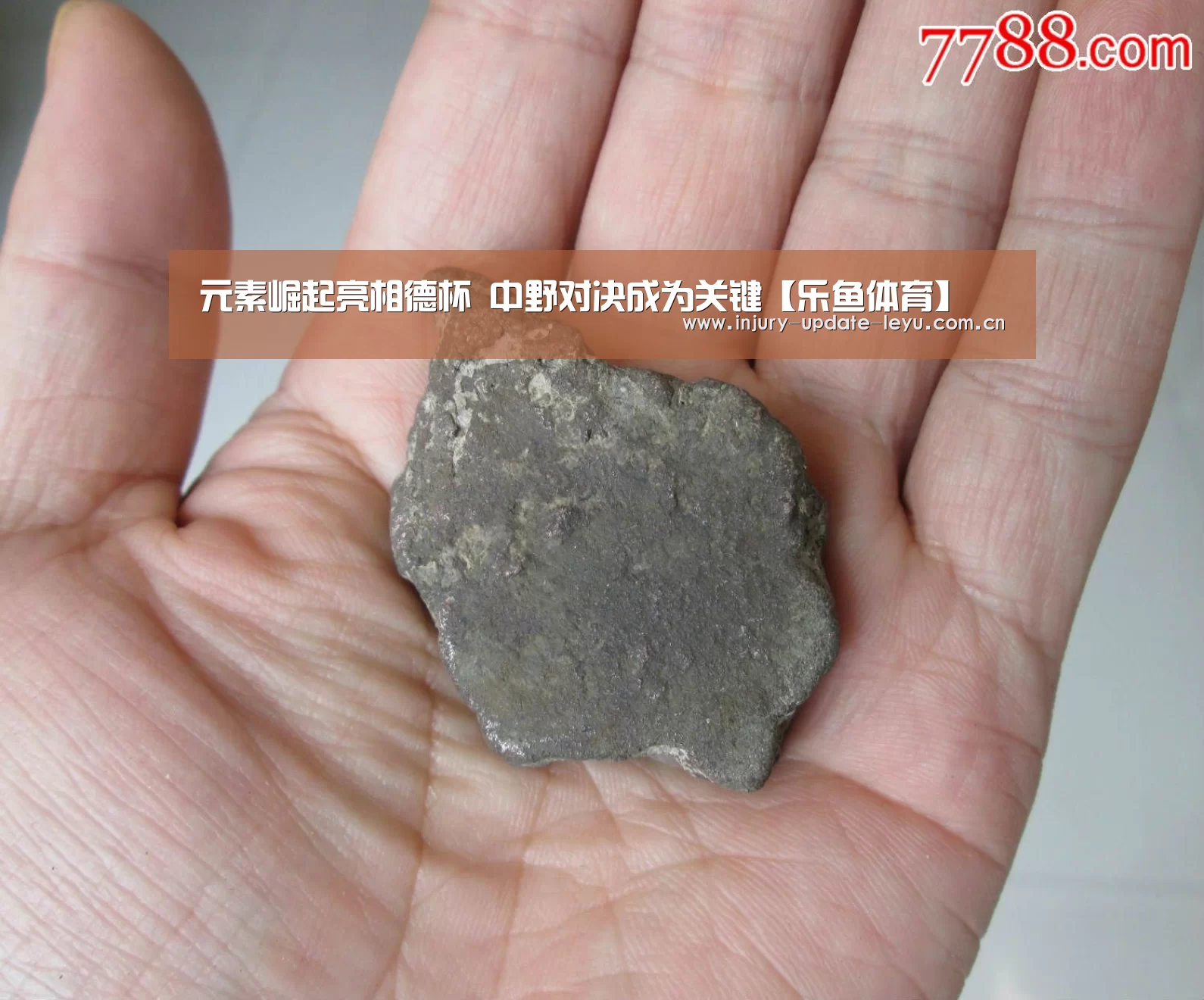 元素崛起亮相德杯 中野对决成为关键【乐鱼体育】(图1) 乐鱼体育在线登录