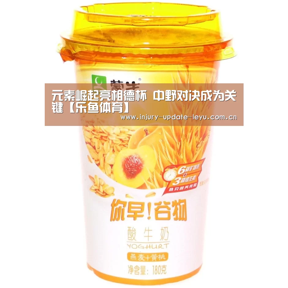 元素崛起亮相德杯 中野对决成为关键【乐鱼体育】(图3) 乐鱼体育网站入口