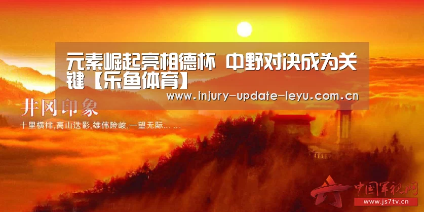 元素崛起亮相德杯 中野对决成为关键【乐鱼体育】(图2) 乐鱼体育在线登录